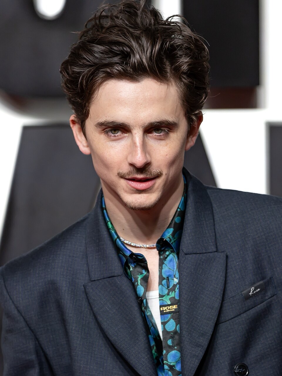 Timothée Chalamet in a cropped event photo