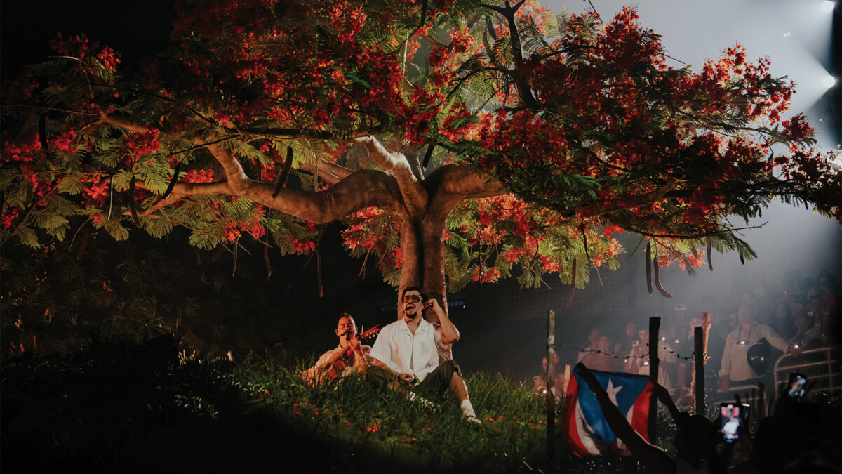Stage performance under a large flowering tree prop with red blossoms, performers crouching at its base as a cheering audience looks on in dim light.