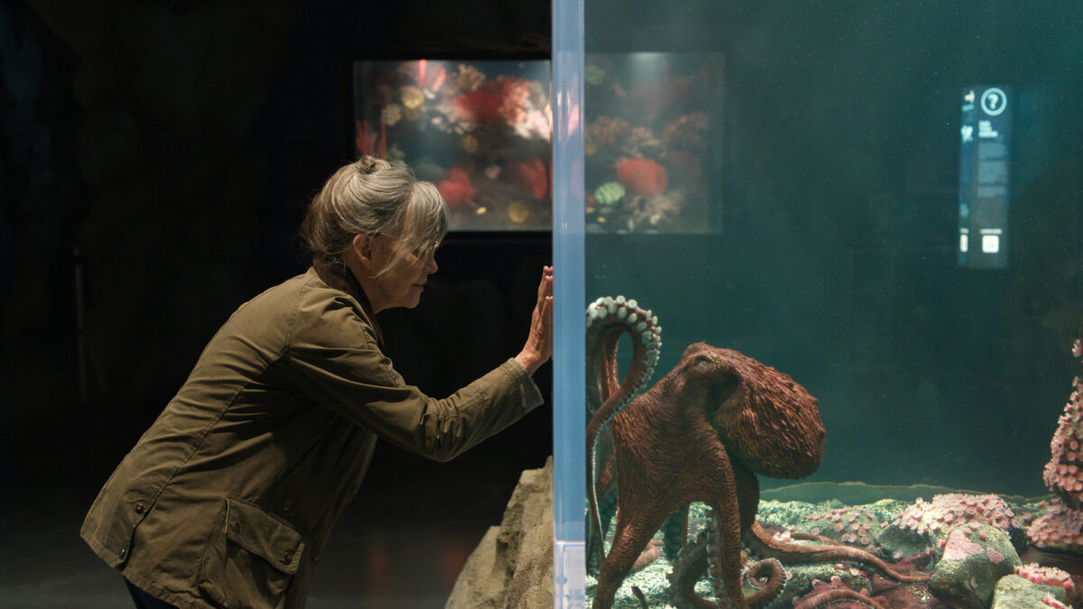 Woman in a brown jacket leans toward an aquarium glass, watching a large octopus exhibit.