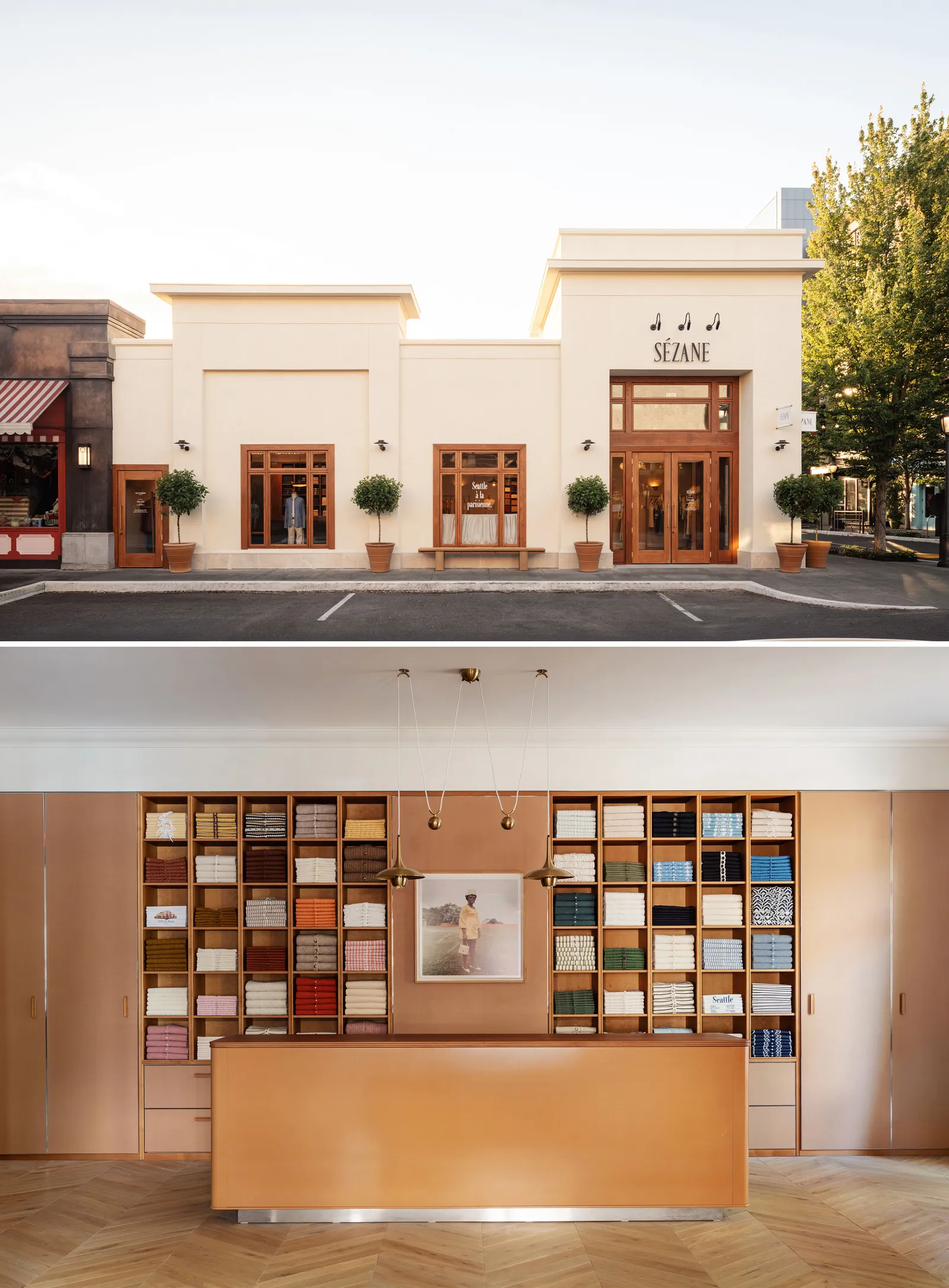 Image may contain Book Publication Plant Shop Furniture Indoors Library and Person