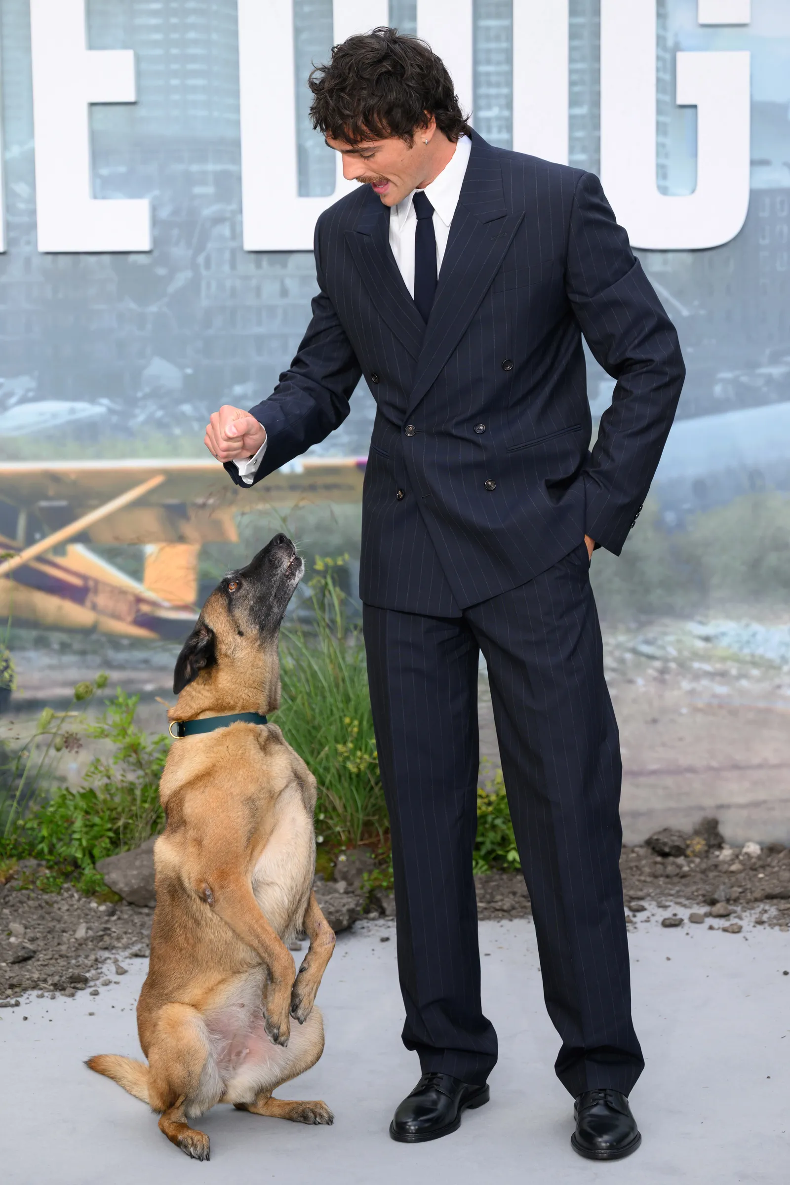 LONDON ENGLAND AUGUST 20 Rak Jasper the dog and Jacob Elordi attend The Dog Stars World Premiere at Odeon Luxe...