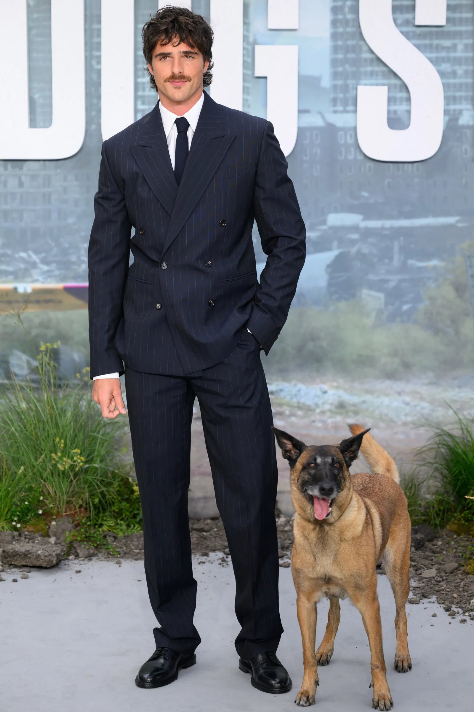LONDON ENGLAND AUGUST 20 Rak Jasper the dog and Jacob Elordi attend The Dog Stars World Premiere at Odeon Luxe...