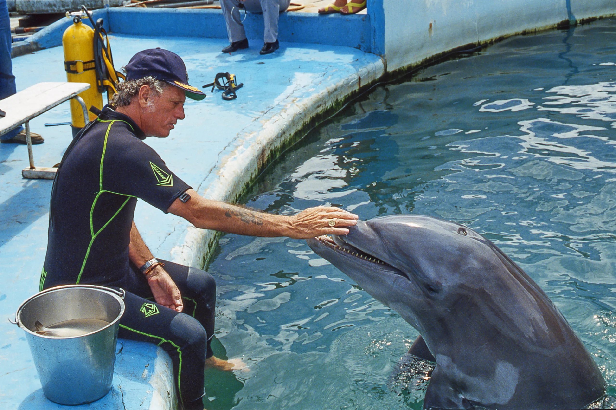- ShowBiz.com Ric O'Barry and dolphin.