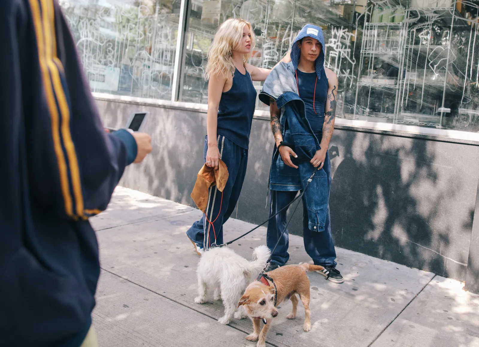 Image may contain Human Person Strap Pants Clothing Apparel Animal Dog Mammal Pet Canine and Leash