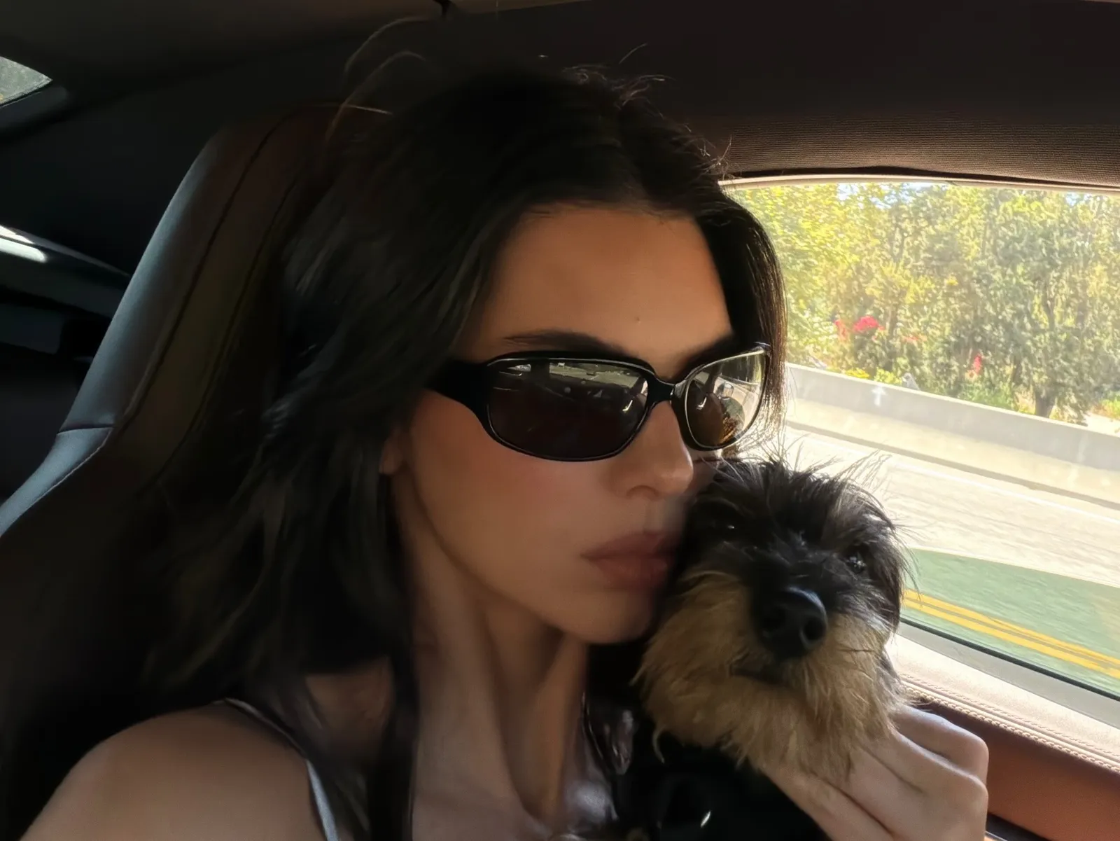Kendall Jenner Finn the dog