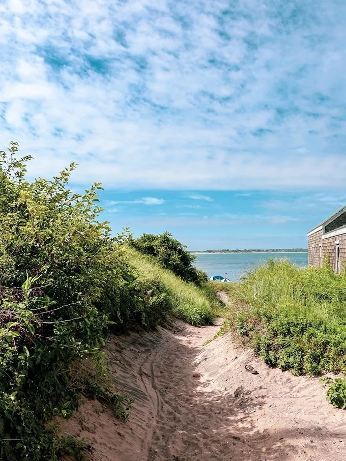 Image may contain Horizon Nature Outdoors Sky Scenery Path Trail Plant Vegetation Car Transportation and Vehicle