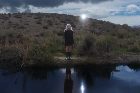 A pale-haired person in black stands by reflective water amid shrubs under a cloudy sky.