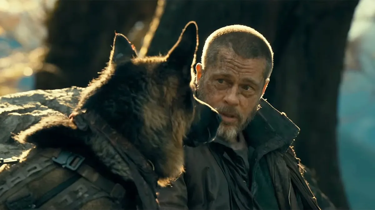 A bearded man in a dark jacket looks at a harnessed dog in warm outdoor light.